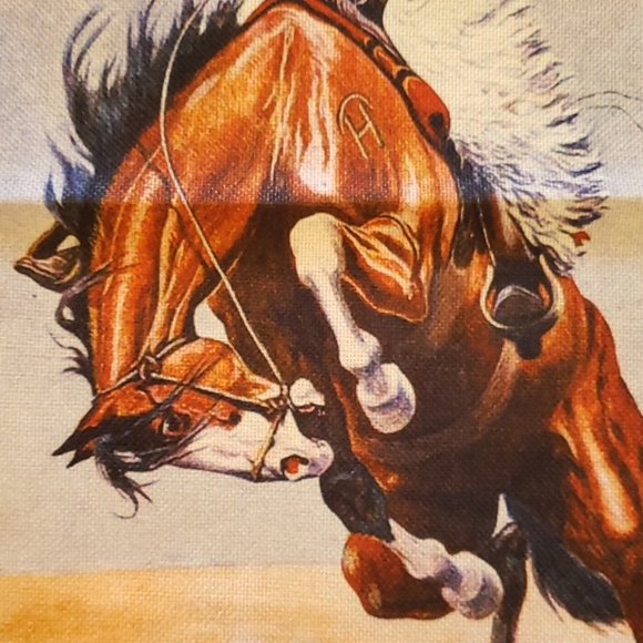 Western Pillow Cowboy Rodeo Horse Bronc Rider - Picture 4 of 11
